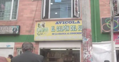 AVICOLA EL GALPON DEL SUR BOGOTÁ AVICOLA EL GALPON DEL SUR BOGOTÁ
